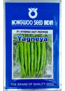 Yagneya Chilli